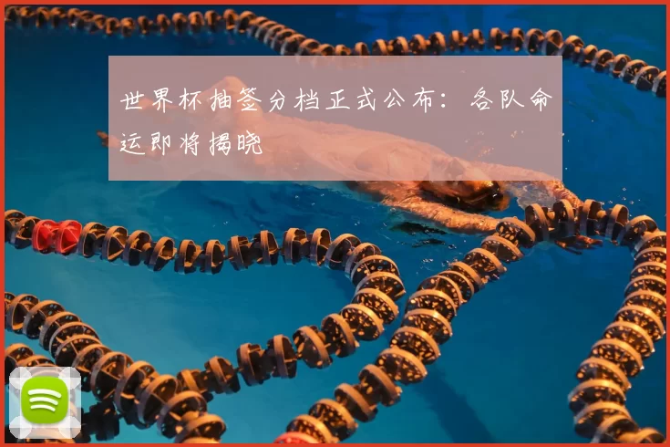 世界杯抽签分档正式公布：各队命运即将揭晓