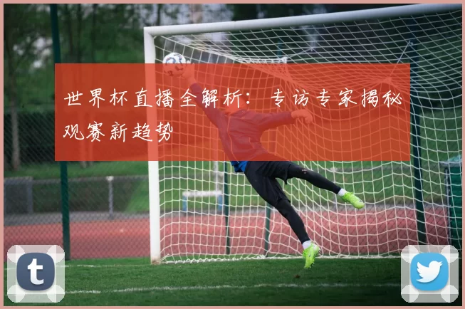 世界杯直播全解析：专访专家揭秘观赛新趋势