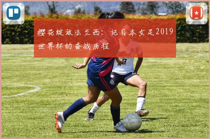 樱花绽放法兰西：记日本女足2019世界杯的奋战历程