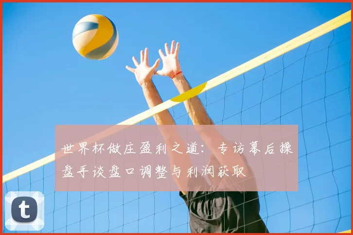 世界杯做庄盈利之道：专访幕后操盘手谈盘口调整与利润获取