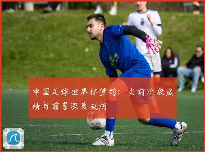 中国足球世界杯梦想:当前阶段成绩与前景深度剖析