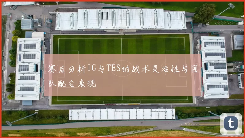 赛后分析IG与TES的战术灵活性与团队配合表现